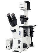 광학 현미경 (Optical Microscope)